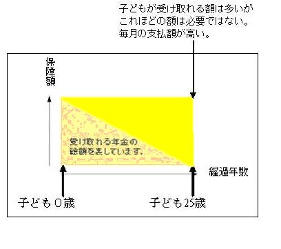 四角い保険の図.JPG