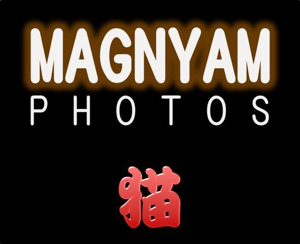 http://blogs.bizmakoto.jp/yokoyamat/Magnyam-592x482.jpg