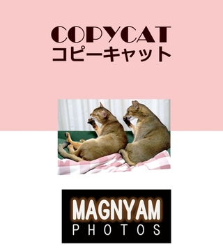Copycat-1