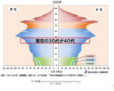 2015年1月9日　日本の将来推計（2025）.png
